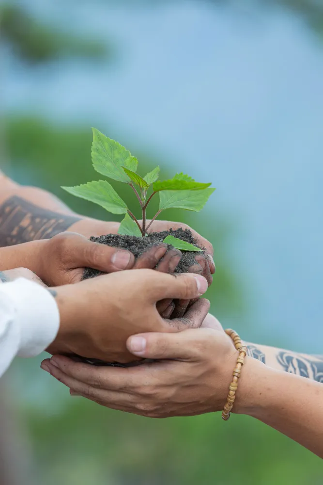 Environment, for the next generation