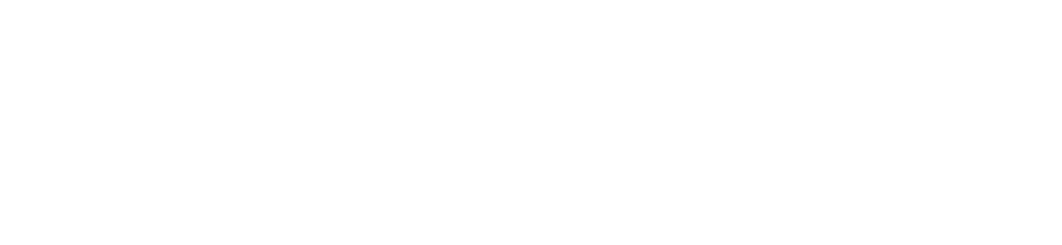 ZETMAR COMMODITIES & INTERNATIONAL TRADING CO. LTD.